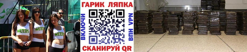 ГАШИШ Premium  ОМГ ОМГ ССЫЛКА  Лукоянов 