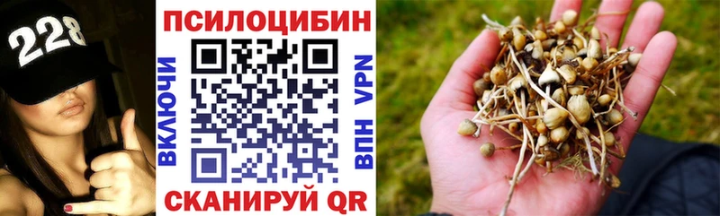 Галлюциногенные грибы Cubensis  Лукоянов 